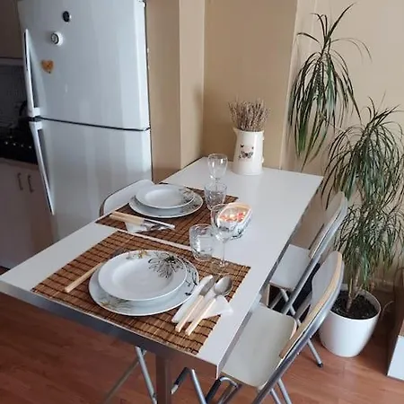 Duplex House At Taksim Apartment Istanbul